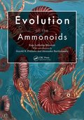 Evolution of the Ammonoids