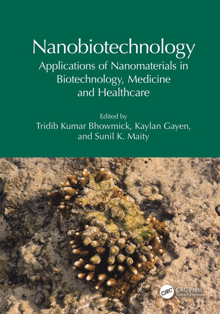 Tridib Kumar Bhowmick, Kaylan Gayen, Sunil K. Maity - Nanobiotechnology, Inbunden