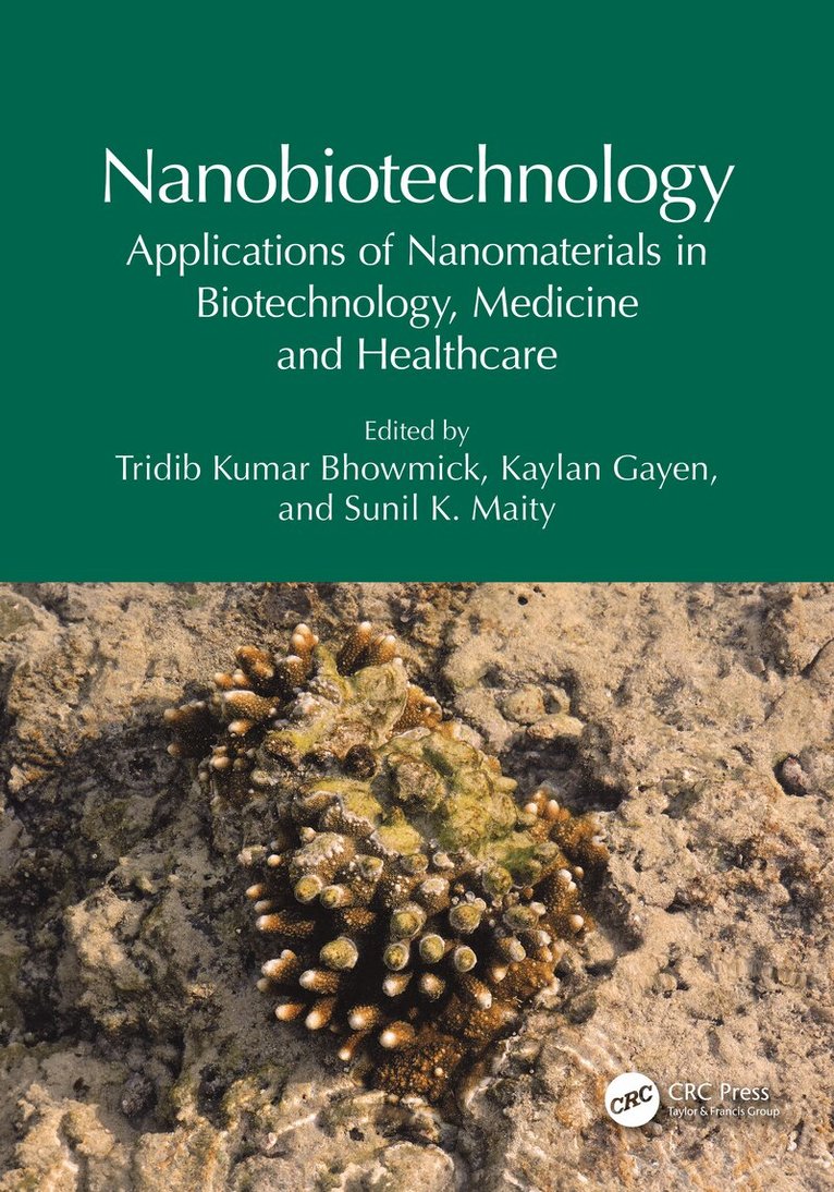 Tridib Kumar Bhowmick, Kaylan Gayen, Sunil K. Maity - Nanobiotechnology, Häftad
