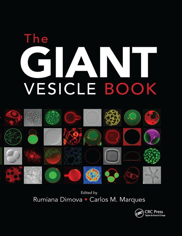 Rumiana Dimova, Carlos Marques - Giant Vesicle Book, Häftad