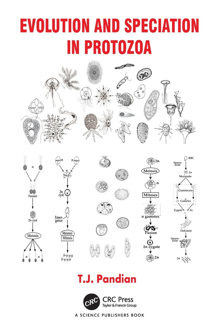 T.J. Pandian - Evolution and Speciation in Protozoa, Inbunden