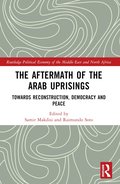 Aftermath of the Arab Uprisings