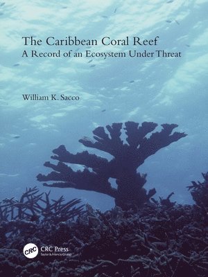 Caribbean Coral Reef av William K Sacco