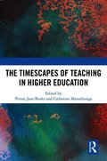 Timescapes of Teaching in Higher Education
