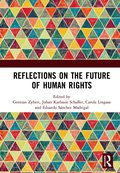 Reflections on the Future of Human Rights
