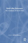 Brazil after Bolsonaro