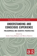 Understanding and Conscious Experience
