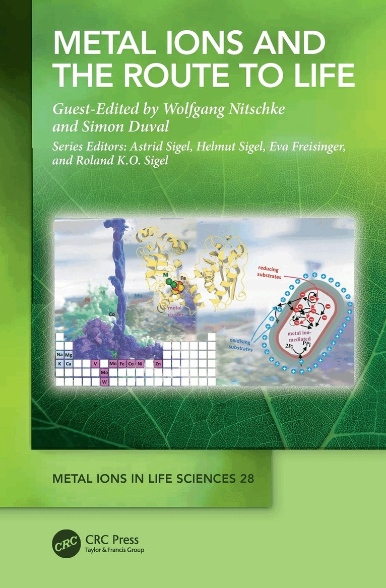 Wolfgang Nitschke, Simon Duval - Metal Ions and the Route to Life, Häftad. Tillgänglighet: Lägg i varukorg
