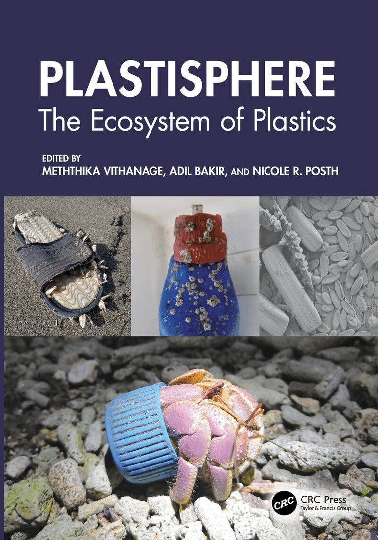 Meththika Vithanage, Adil Bakir, Nicole R. Posth - Plastisphere, Häftad. Tillgänglighet: Lägg i varukorg