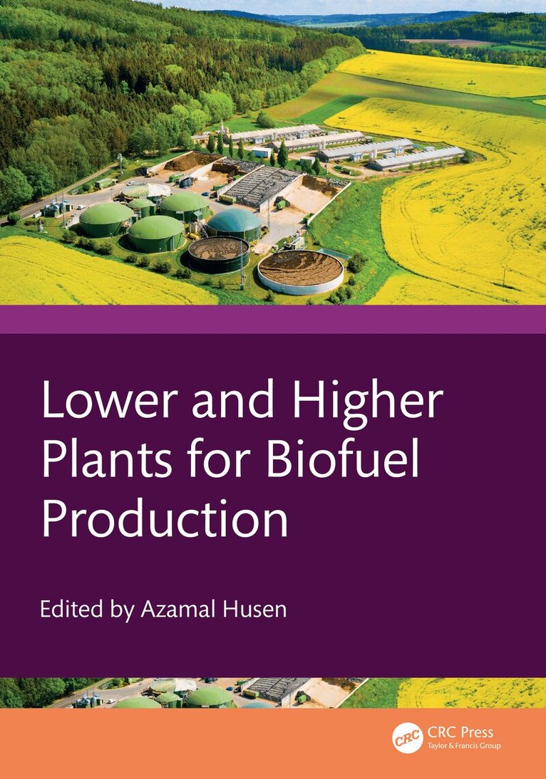 Lower and Higher Plants for Biofuel Production