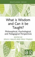 What is Wisdom and Can it be Taught?