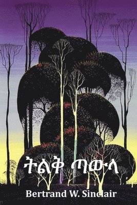 Bertrand W Sinclair - ትልቅ ጣውላ, Häftad