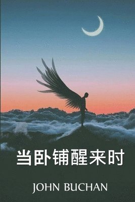 Herbert George Wells - 当卧铺醒来时, Häftad