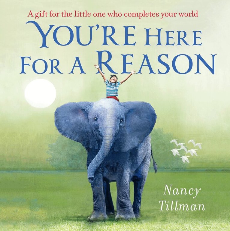 Nancy Tillman - You're Here for a Reason, E-bok