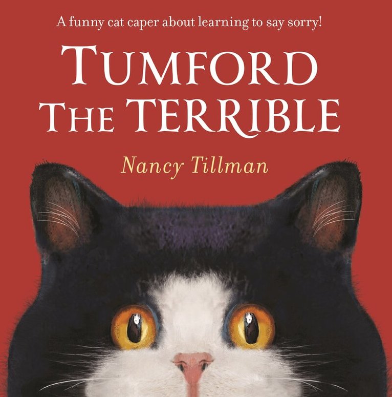 Nancy Tillman - Tumford the Terrible, E-bok