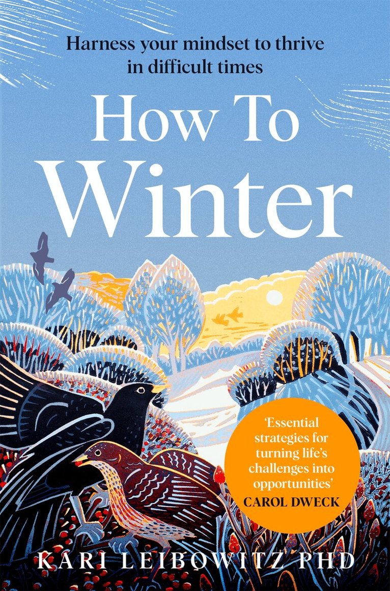 Kari Leibowitz - How to Winter, E-bok