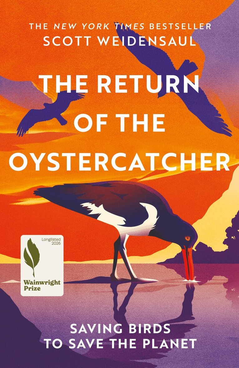 Scott Weidensaul - The Return of the Oystercatcher, E-bok