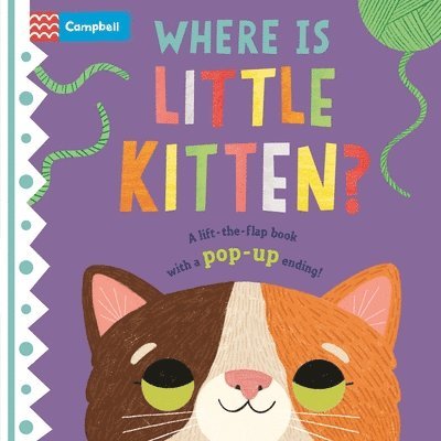 Campbell Books - Where Is Little Kitten?: The Lift-The-Flap Book with a Pop-Up Ending!, Kartonnage