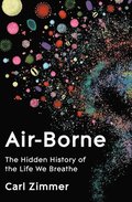 Air-Borne