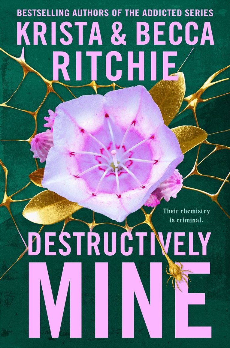 Krista Ritchie, Becca Ritchie - Destructively Mine, E-bok