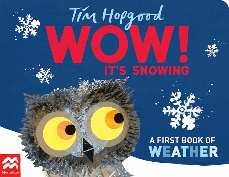 Tim Hopgood - WOW! It's Snowing, E-bok