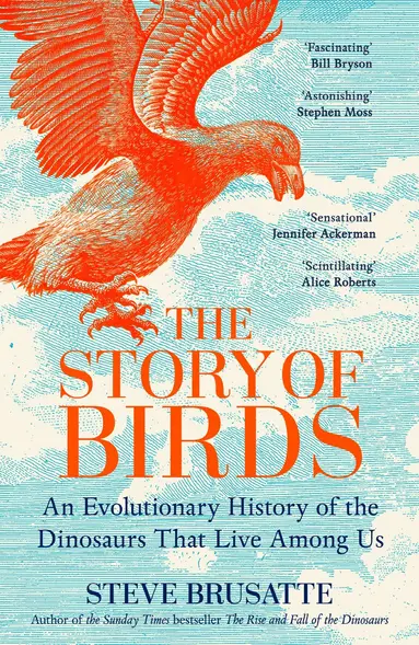 Story of Birds
