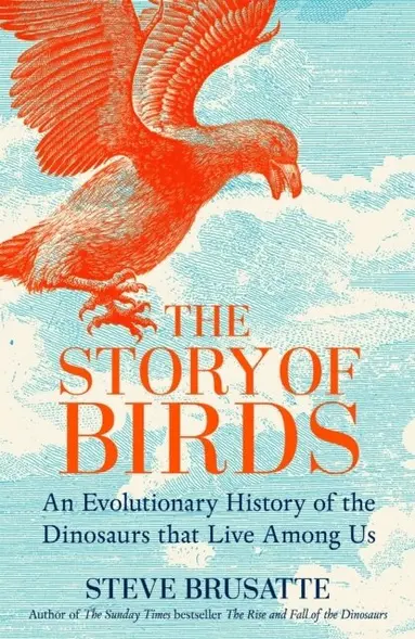 Story of Birds