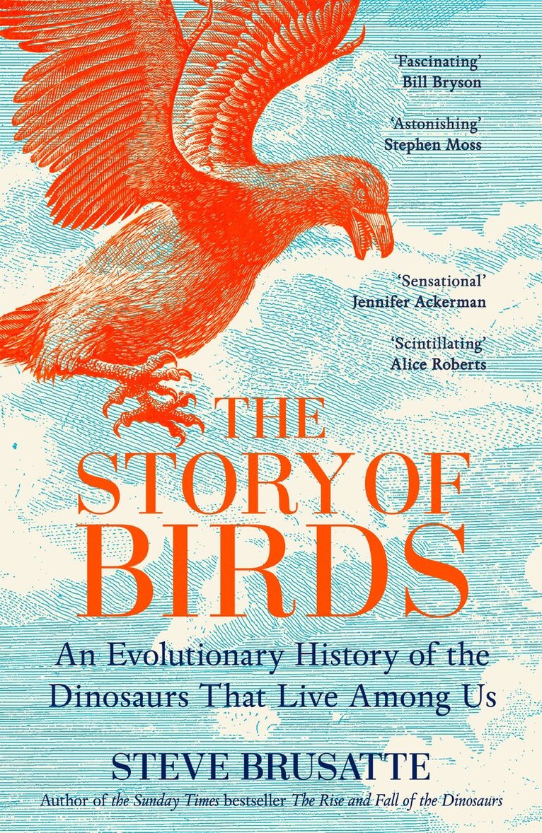 Steve Brusatte - Story of Birds, E-bok