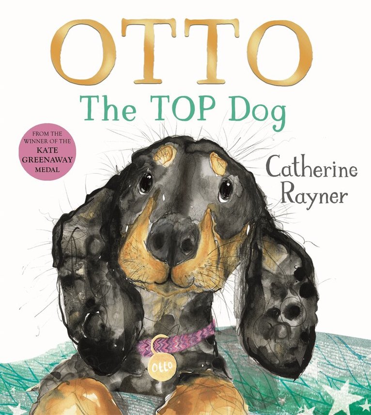 Catherine Rayner - Otto The Top Dog, E-bok