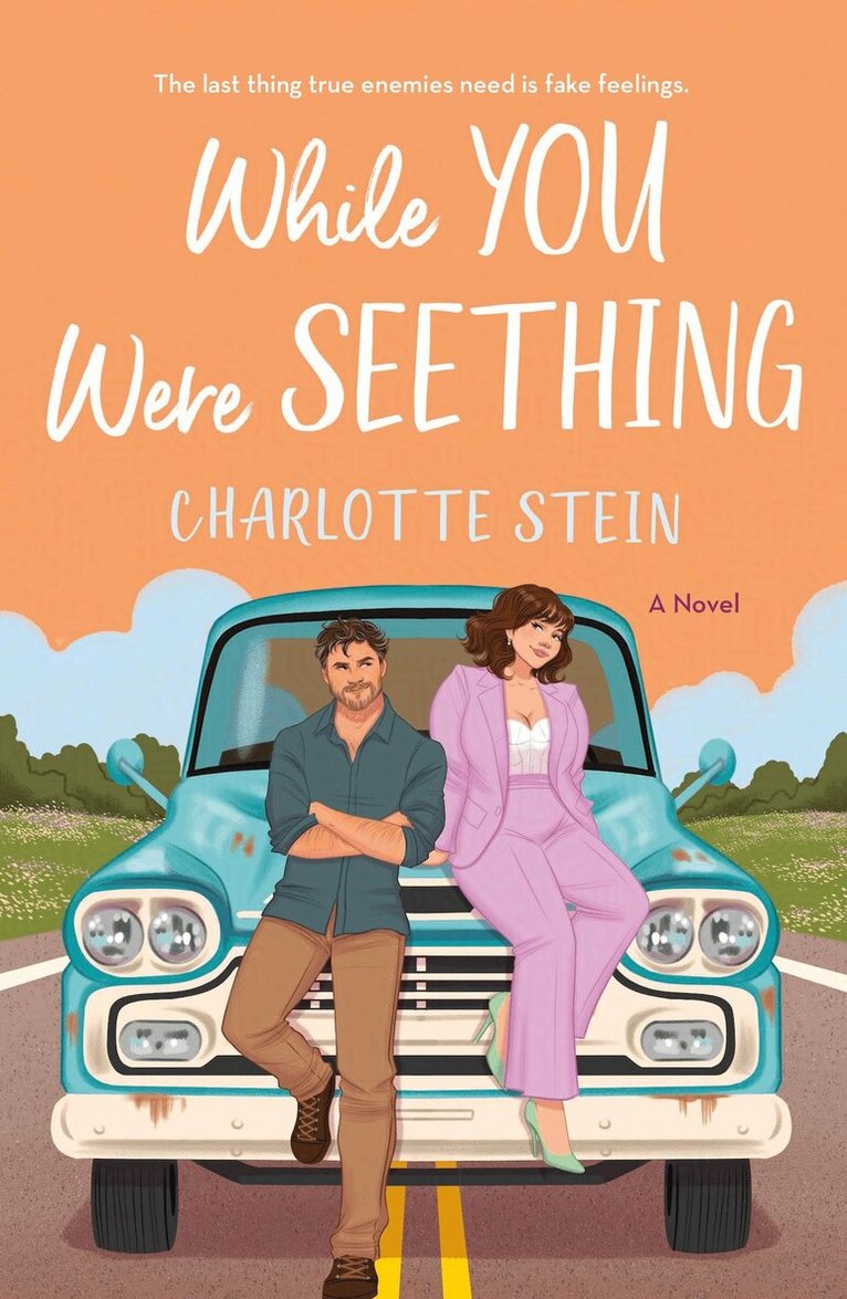 Charlotte Stein - While You Were Seething, E-bok