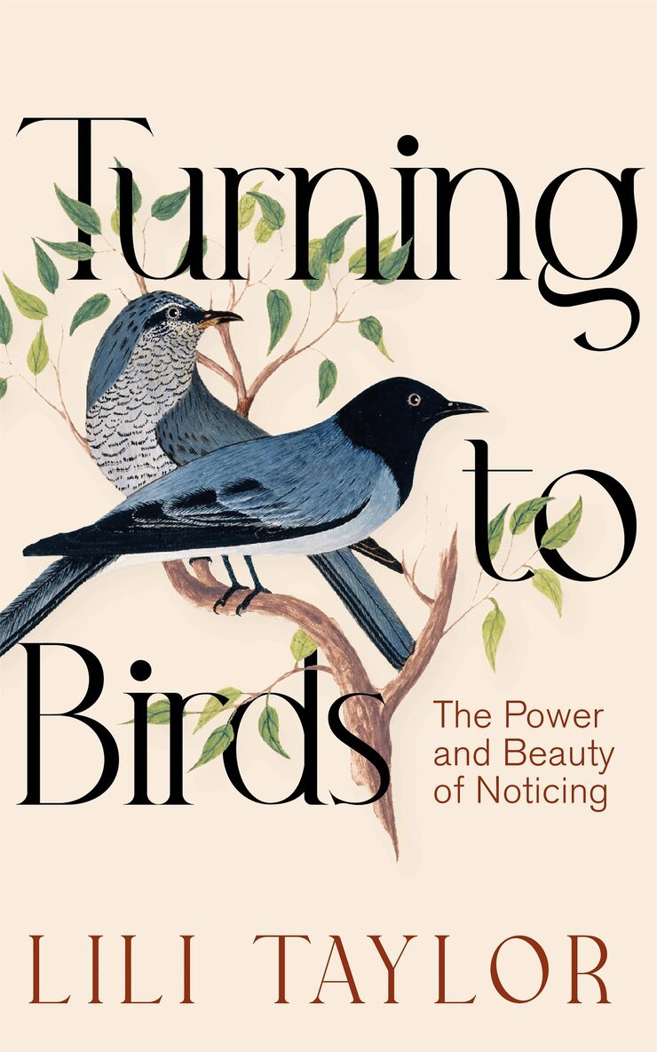 Lili Taylor - Turning to Birds, Inbunden