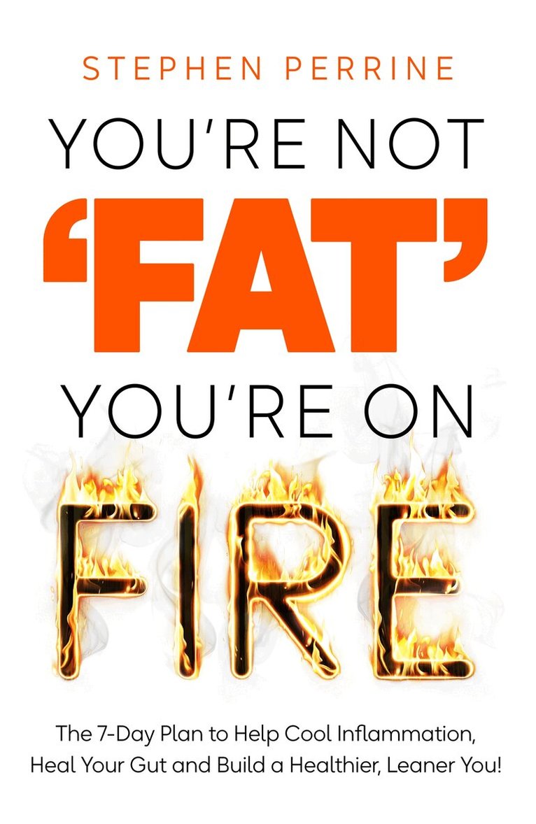 Stephen Perrine - You're Not 'Fat', You're On Fire, E-bok