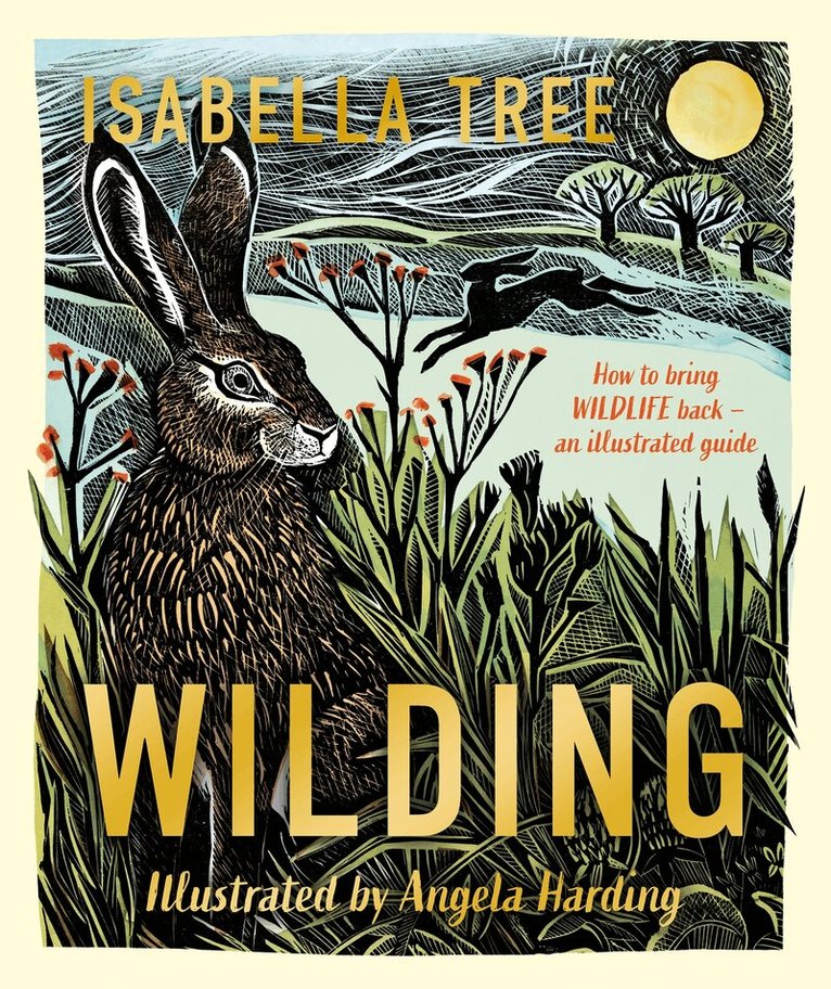 Isabella Tree - Wilding: How to Bring Wildlife Back - an Illustrated Guide, E-bok