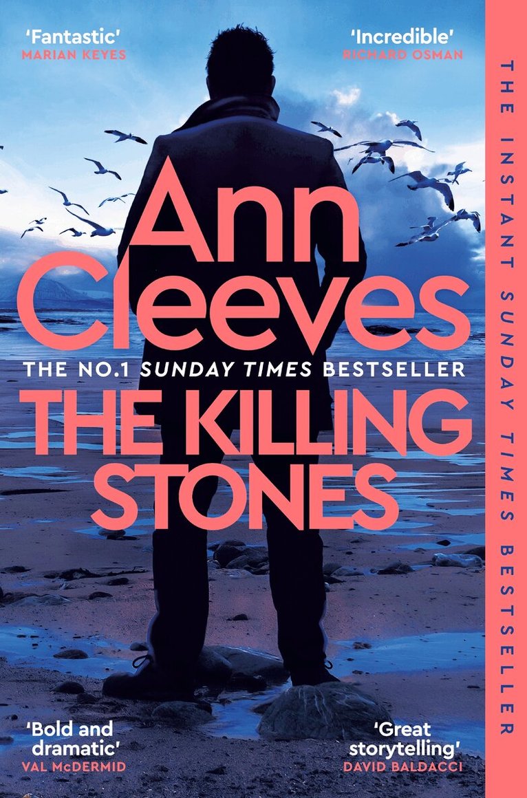 Ann Cleeves - Killing Stones, E-bok