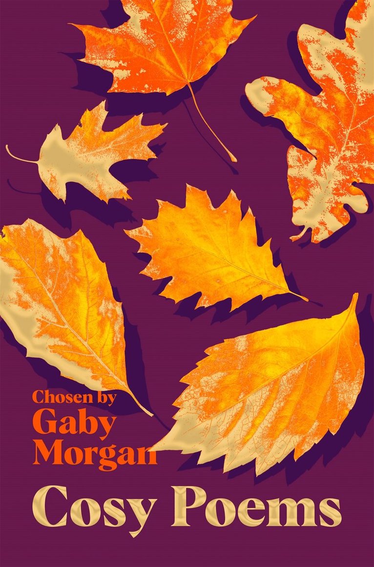Gaby Morgan - Cosy Poems, E-bok