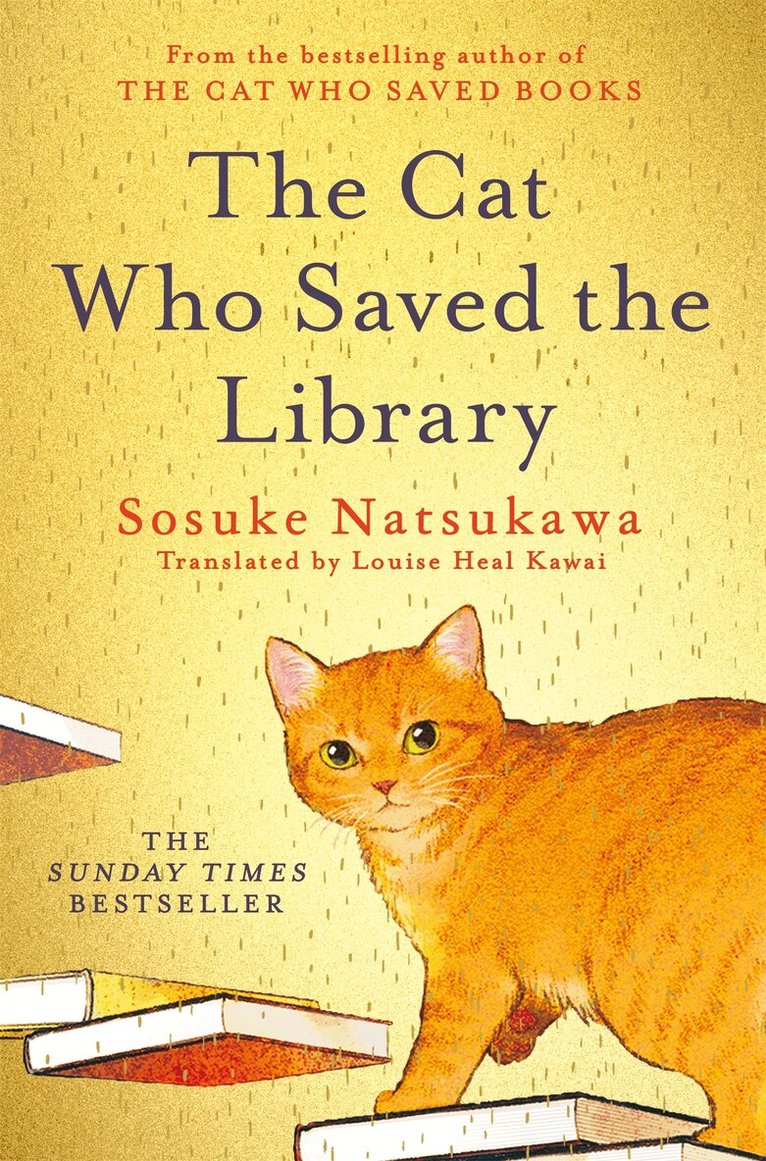 Sosuke Natsukawa - Cat Who Saved the Library, E-bok