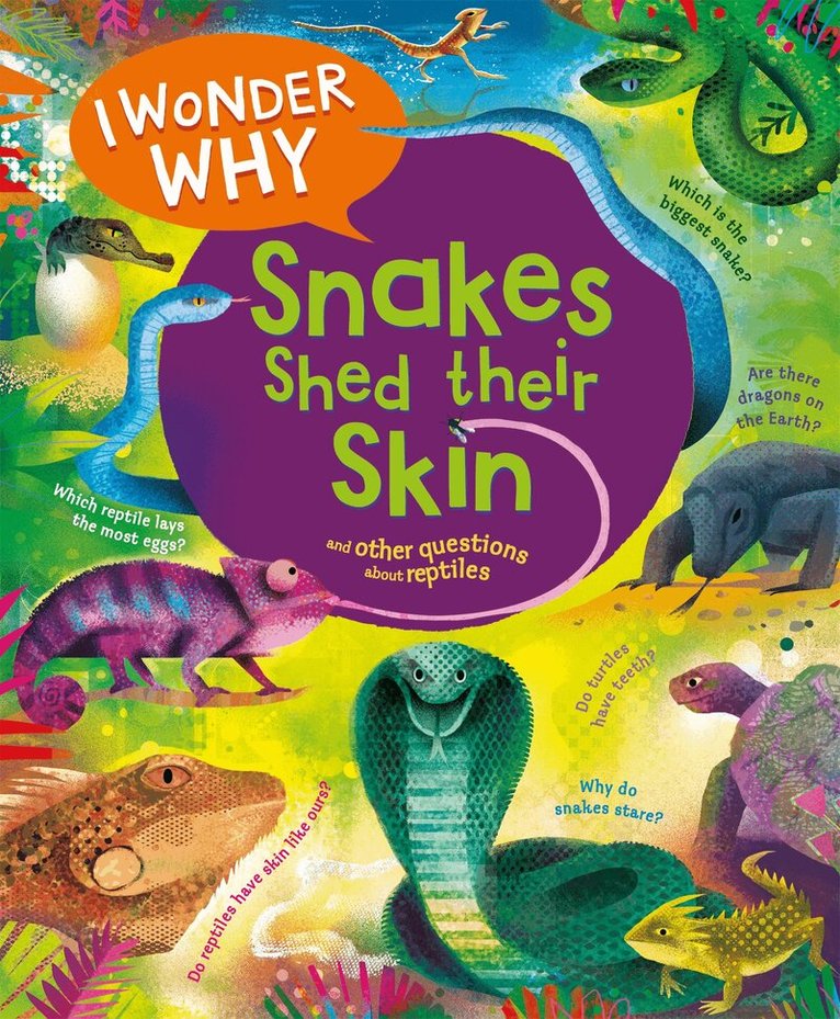 Amanda O'Neill - I Wonder Why Snakes Shed Their Skin, E-bok
