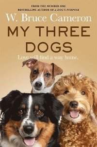 My Three Dogs