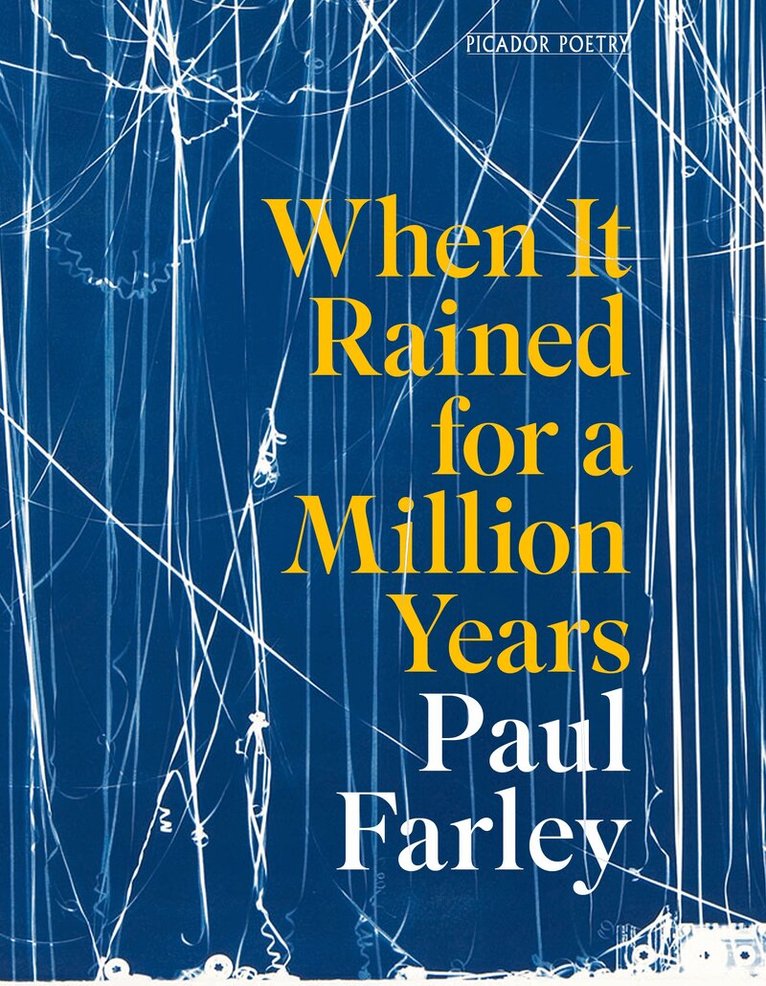 Paul Farley - When It Rained for a Million Years, E-bok