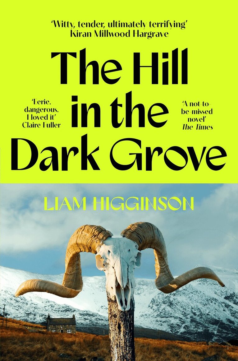 Liam Higginson - Hill in the Dark Grove, E-bok