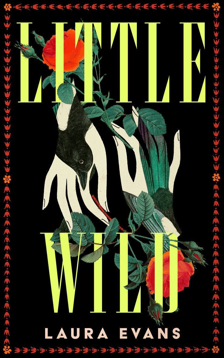 Laura Evans - Little Wild, E-bok