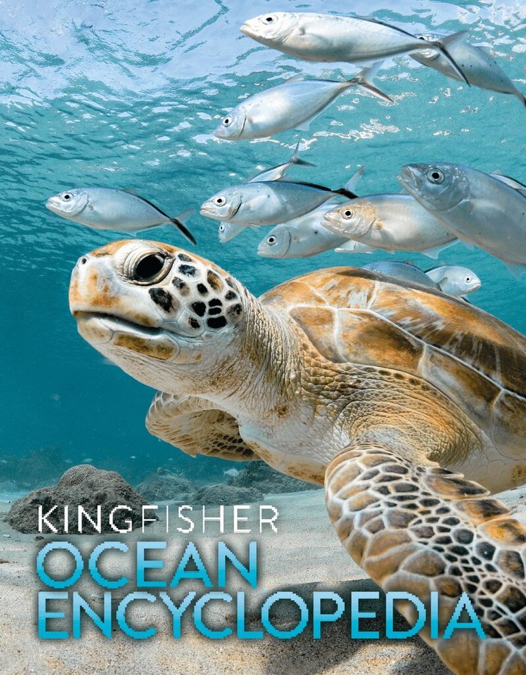 Kingfisher - Kingfisher Ocean Encyclopedia, Inbunden