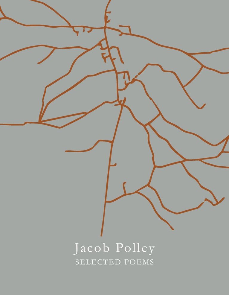 Jacob Polley - Selected Poems, Häftad