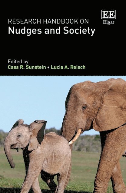 Lucia A. Reisch, Cass R. Sunstein - Research Handbook on Nudges and Society, E-bok