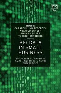 Big Data in Small Business