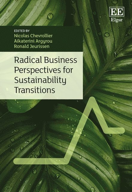 Ronald Jeurissen, Aikaterini Argyrou, Nicolas Chevrollier - Radical Business Perspectives for Sustainability Transitions, E-bok