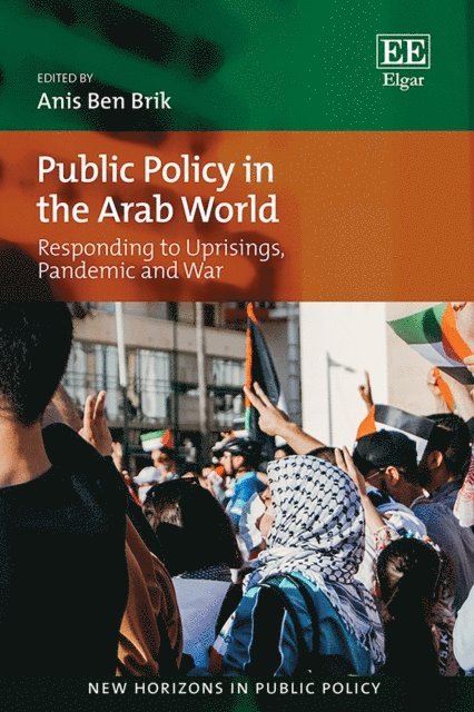 Anis B. Brik - Public Policy in the Arab World, E-bok