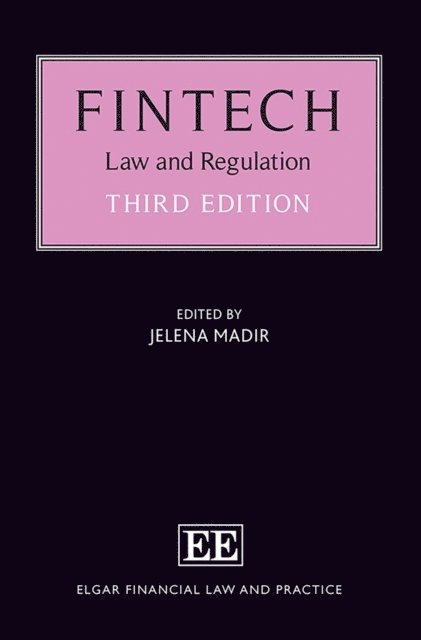 Jelena Madir - FinTech, E-bok