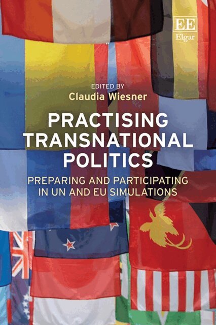 Claudia Wiesner - Practising Transnational Politics, E-bok