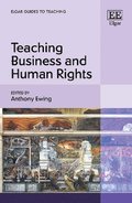 Teaching Business and Human Rights